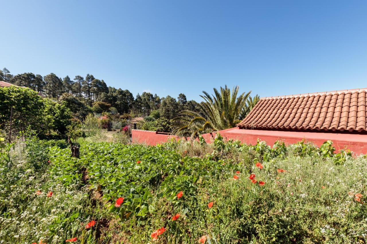 Casa Buganvillas, Reformado Puntagorda Exteriör bild